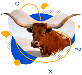 Get an alternative to cheap health insurance in Texas from a Christian health ministry. 